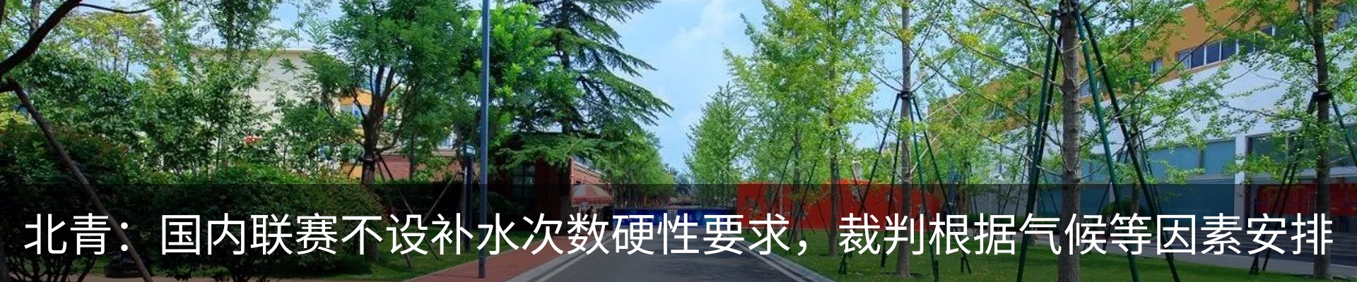 新闻动态