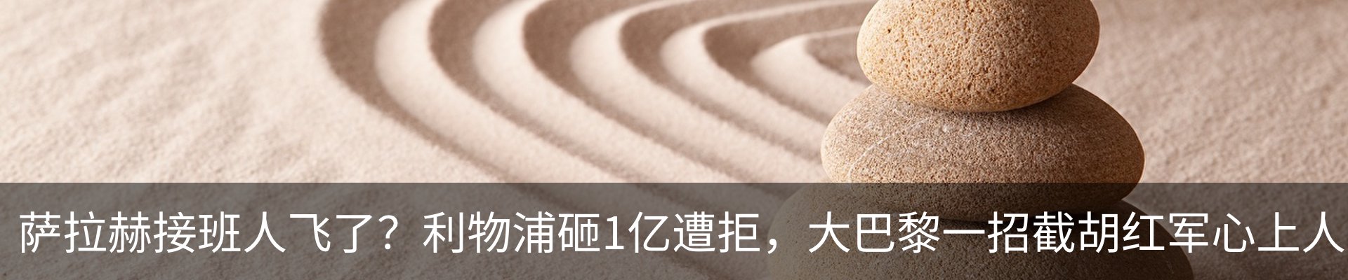 新闻动态