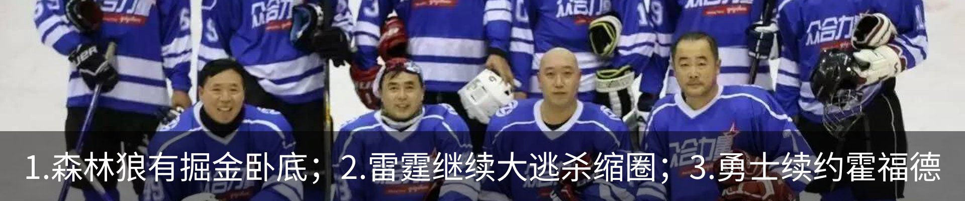 新闻动态