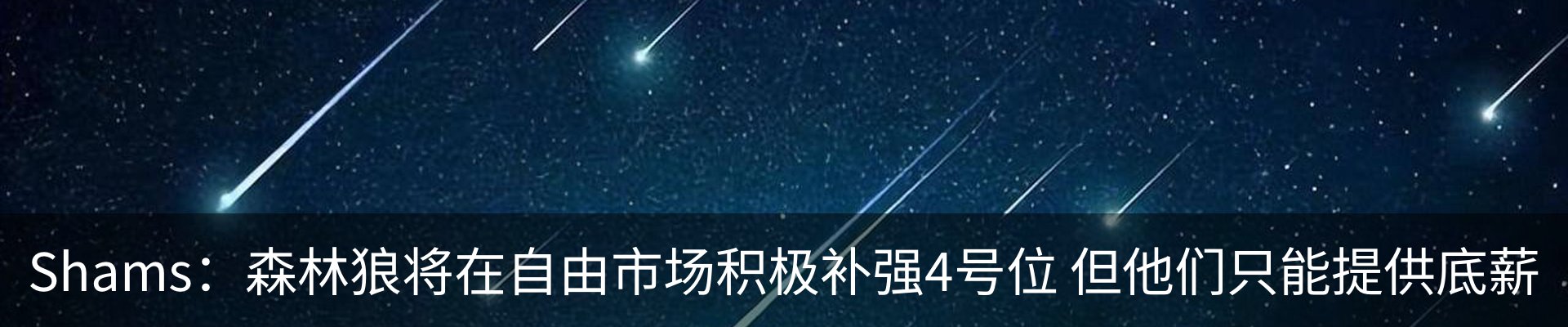 新闻动态